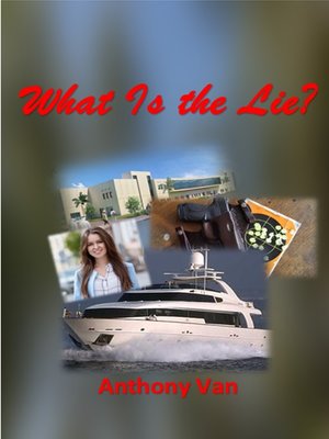 cover image of What Is the Lie?